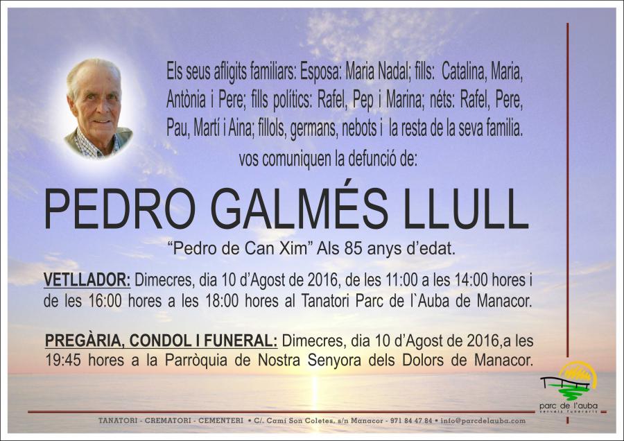 PEDRO GALMÉS LLULL