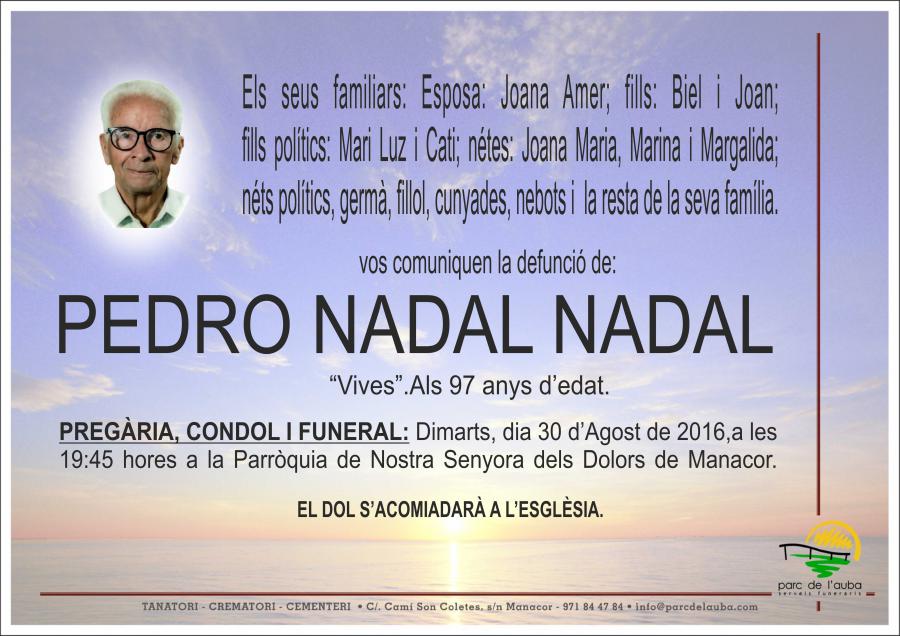 PEDRO NADAL NADAL