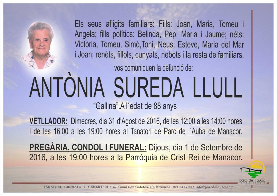 ANTÃ'NIA SUREDA LLULL