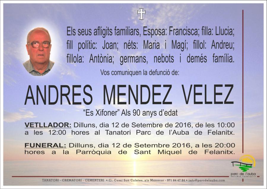 ANDRES MENDEZ VELEZ