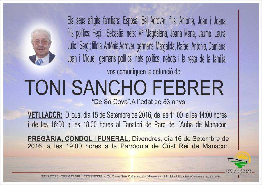 TONI SANCHO FEBRER