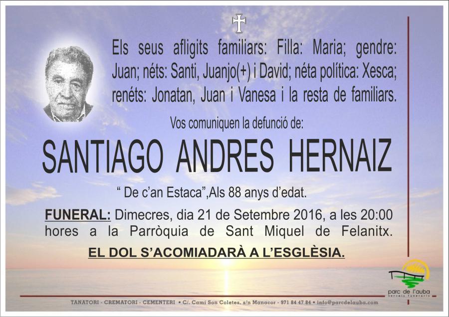 SANTIAGO ANDRES HERNANDEZ