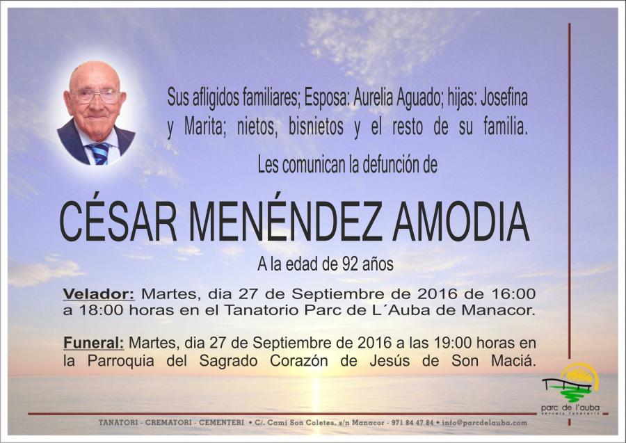 CÉSAR MENÉNDEZ AMODIA