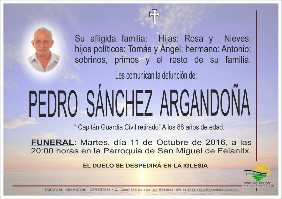 PEDRO SÁNCHEZ ARGANDOÑA