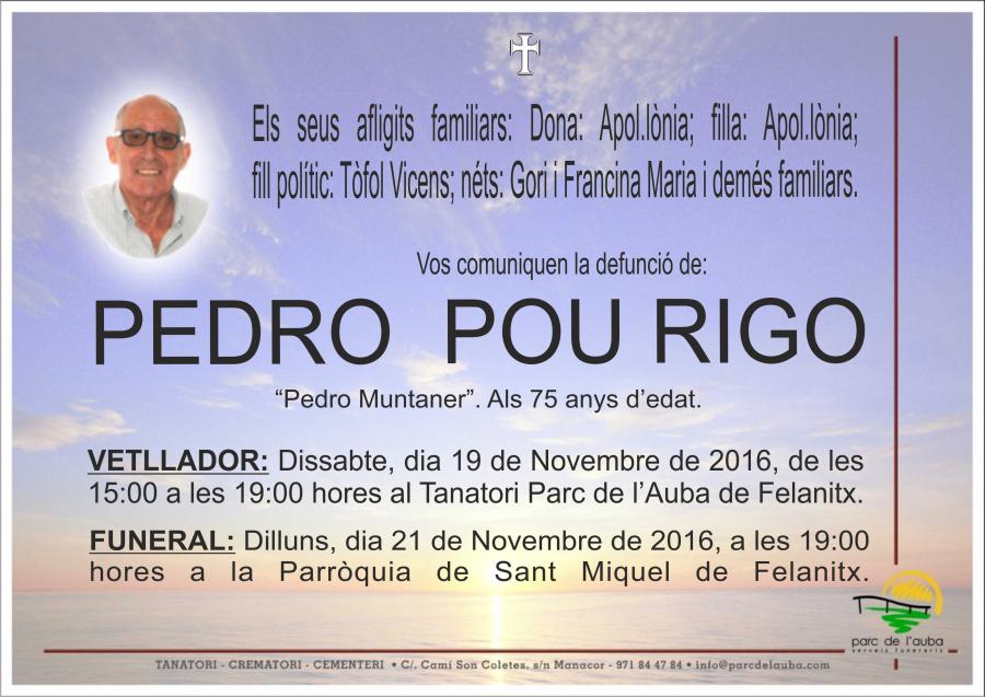 PEDRO POU RIGO