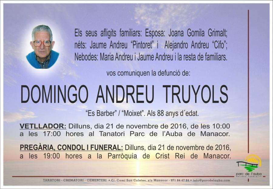 DOMINGO ANDREU TRUYOLS