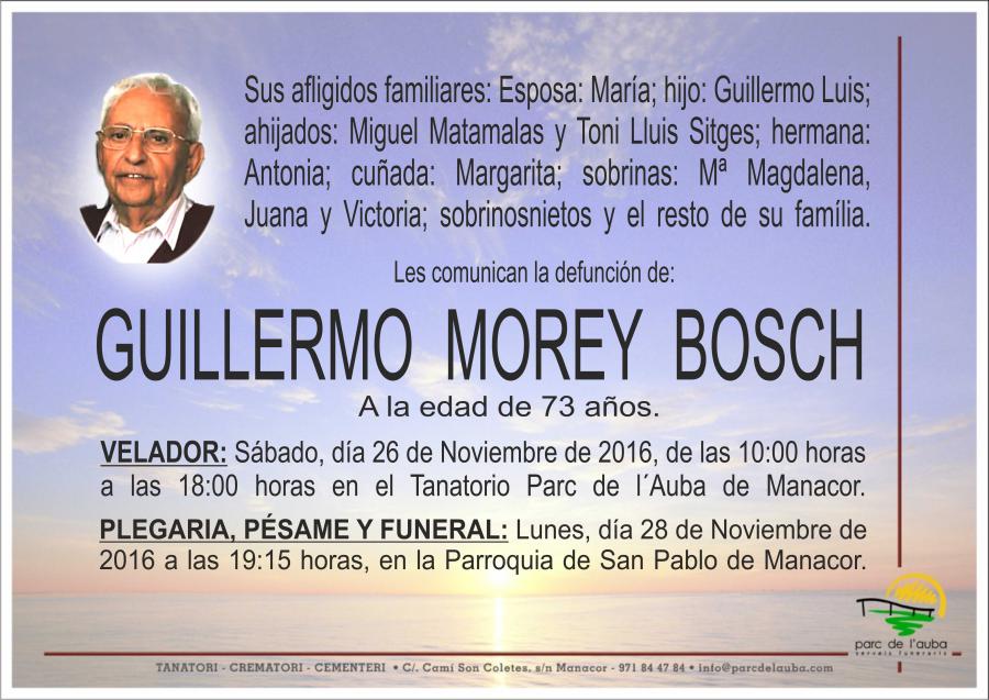 GUILLERMO MOREY BOSCH
