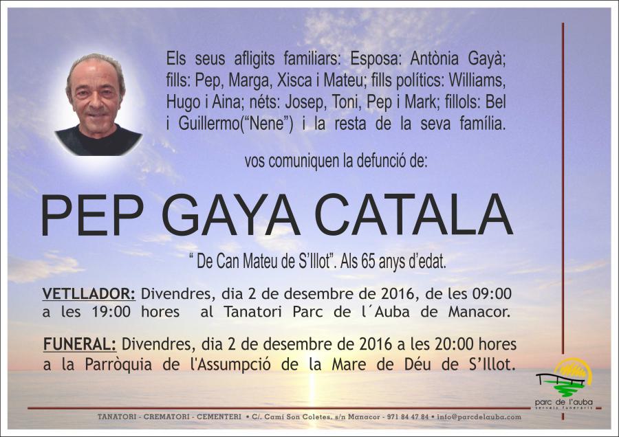 PEP GAYA CATALA