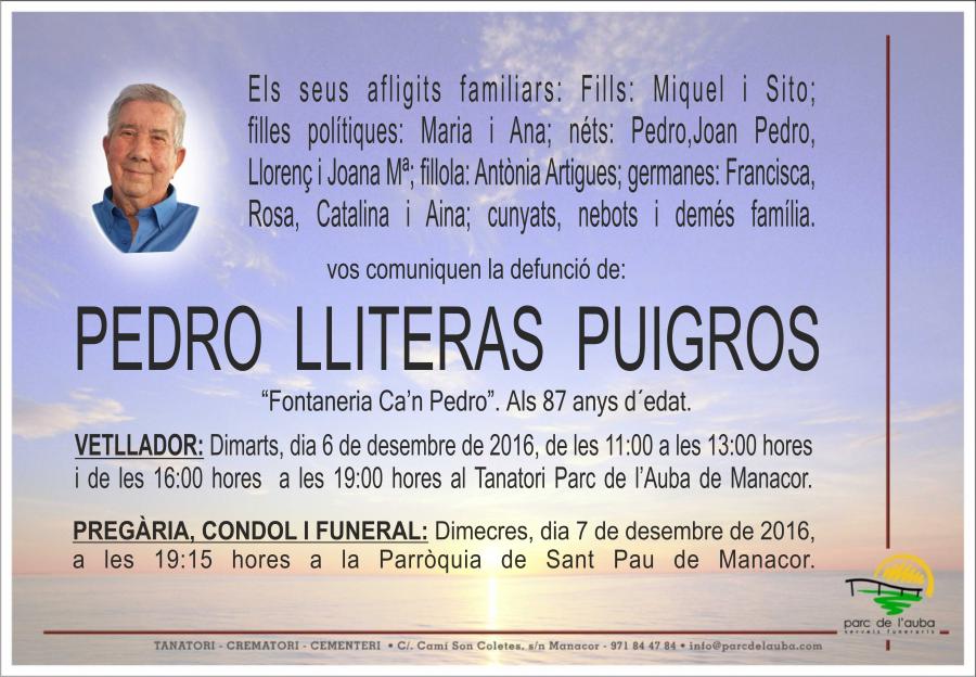 PEDRO LLITERAS PUIGROS