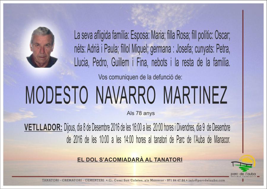 MODESTO NAVARRO MARTINEZ