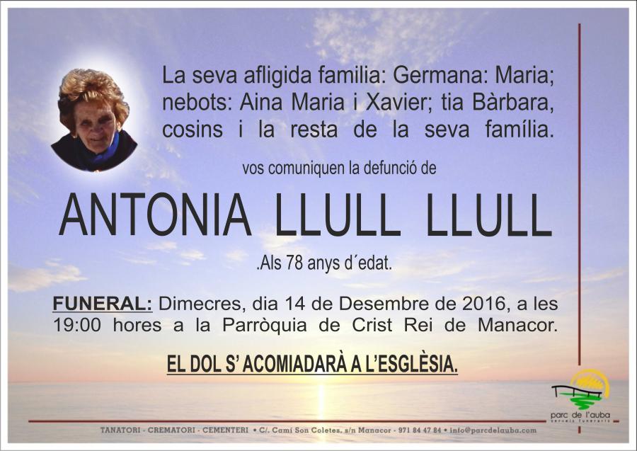 ANTÃ'NIA LLULL LLULL