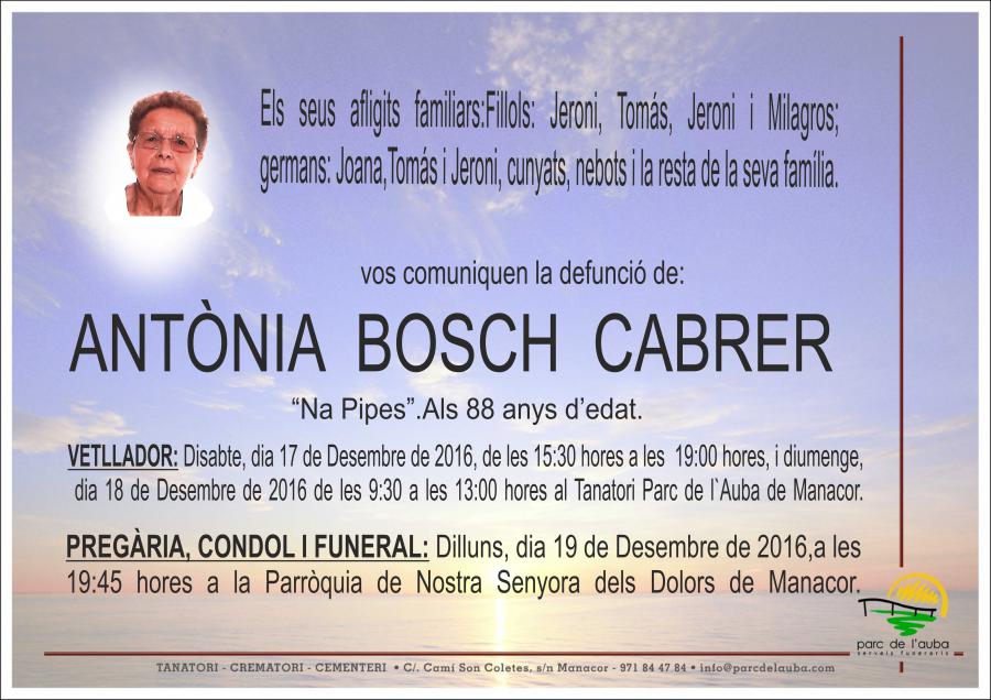 ANTÃ'NIA BOSCH CABRER