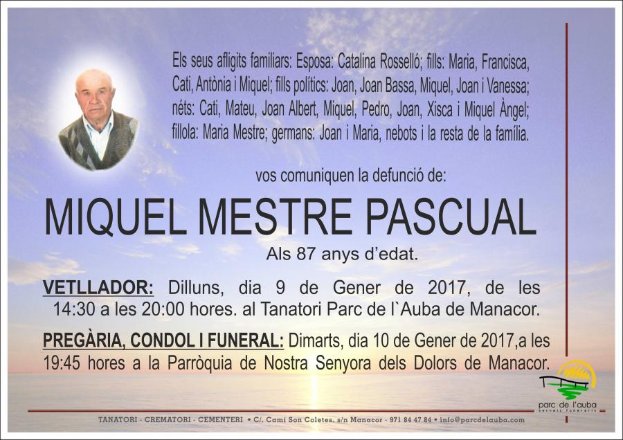 MIQUEL MESTRE PASCUAL