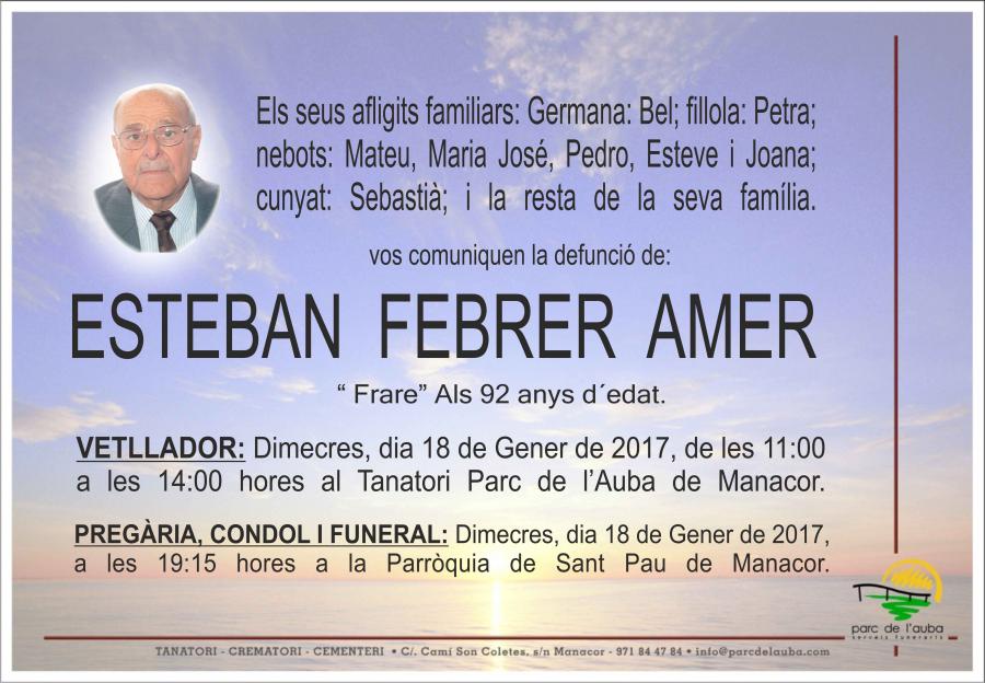 ESTEBAN FEBRER AMER