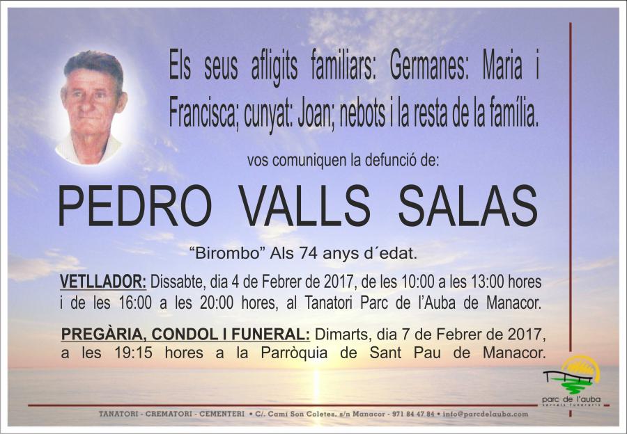 PEDRO VALLS SALAS