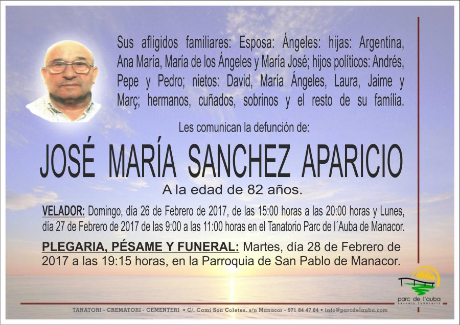 JOSÉ MARÍA SANCHEZ APARICIO