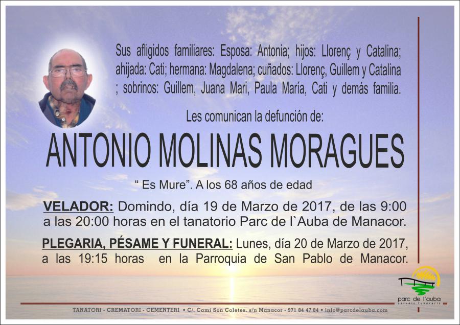 ANTONIO MOLINAS MORAGUES