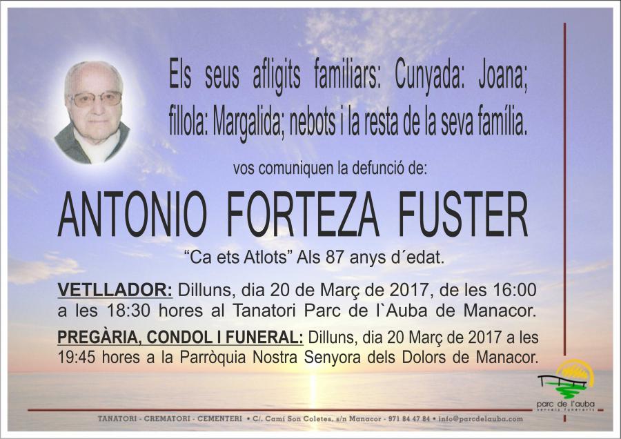 ANTONIO FORTEZA FUSTER