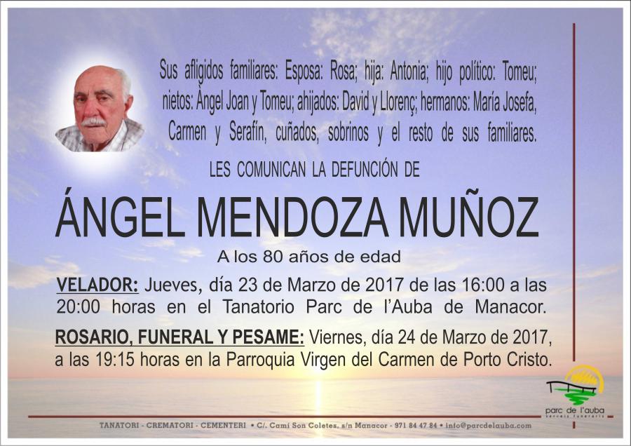 ANGEL MENDOZA MUÑOZ