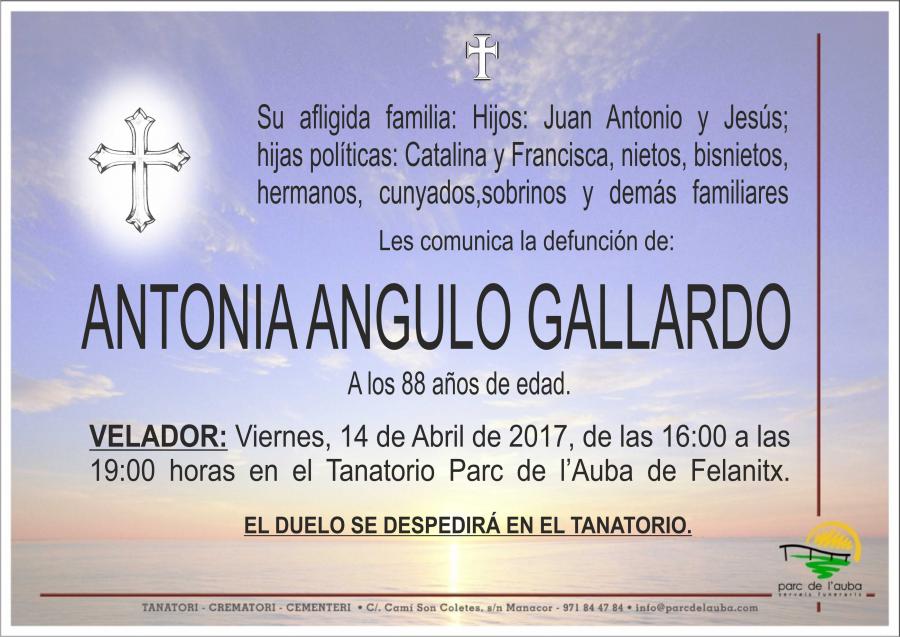 ANTONIA ANGULO GALLARDO