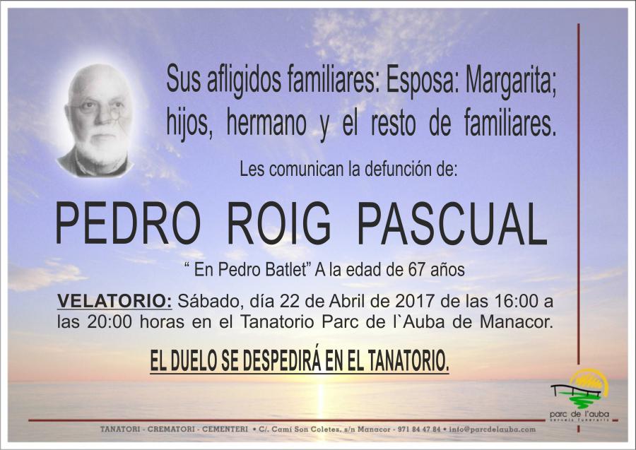 PEDRO ROIG PASCUAL