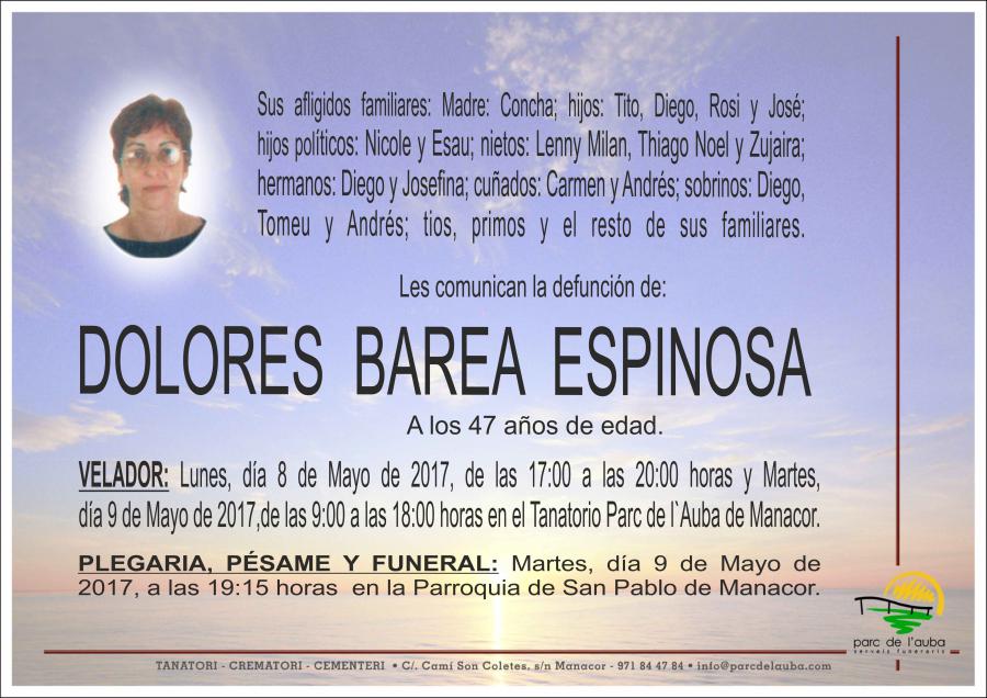 DOLORES BAREA ESPINOSA
