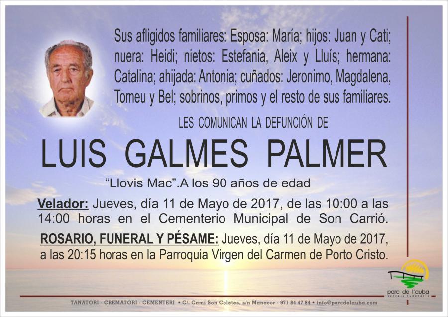 LUIS GALMES PALMER