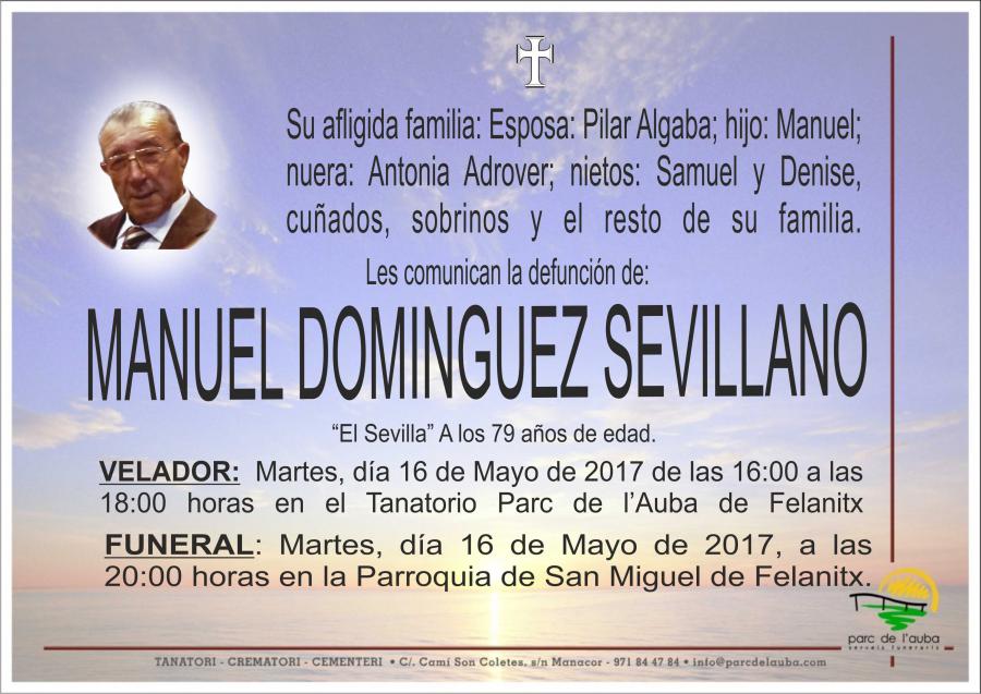 MANUEL DOMINGUEZ SEVILLANO