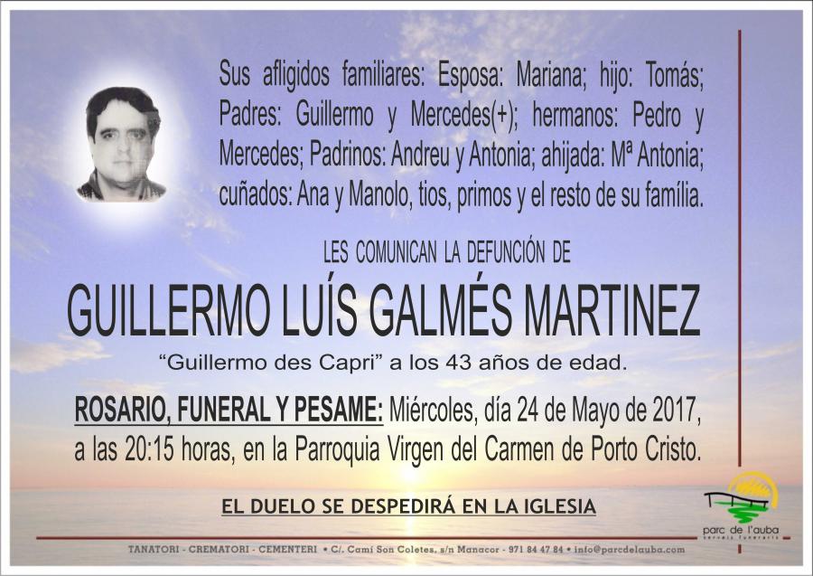 GUILLERMO LUÍS GALMÉS MARTINEZ