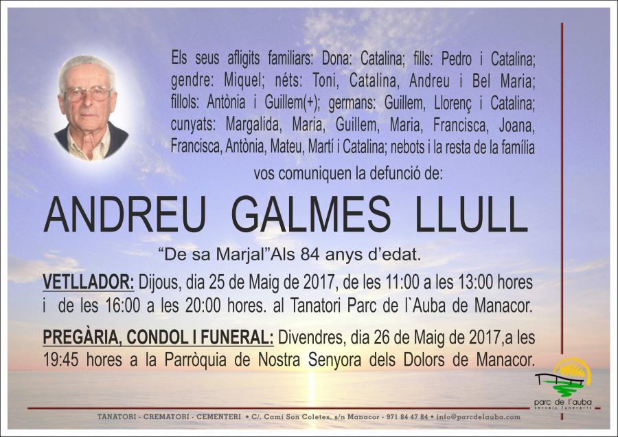 ANDREU GALMES LLULL