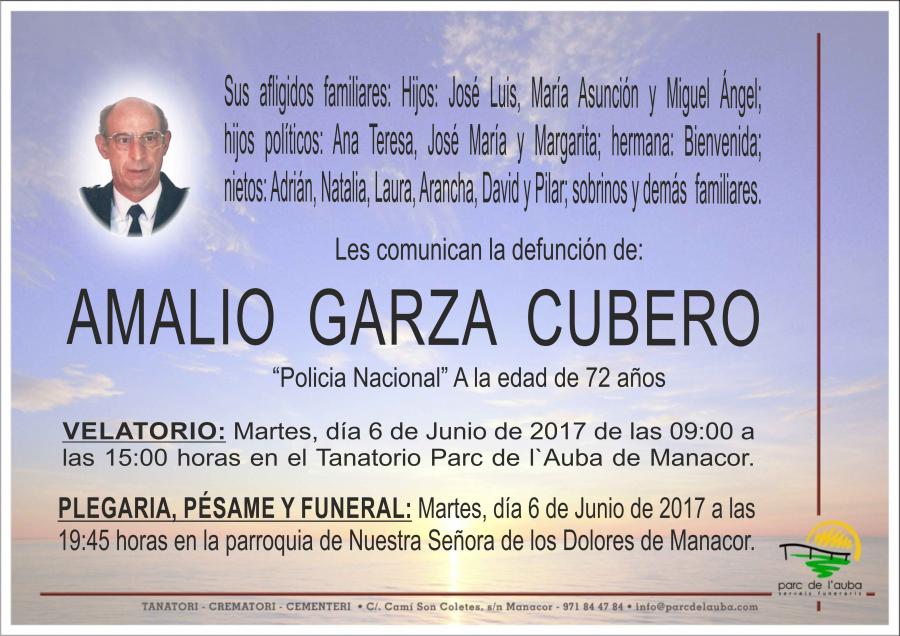 AMALIO  GARZA CUBERO