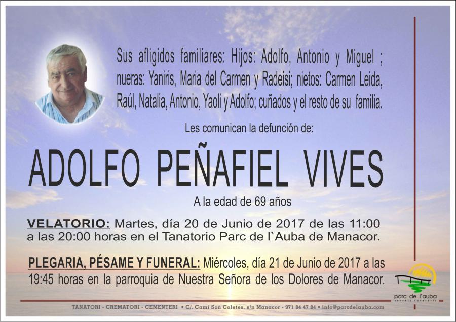 ADOLFO PEÑAFIEL VIVES