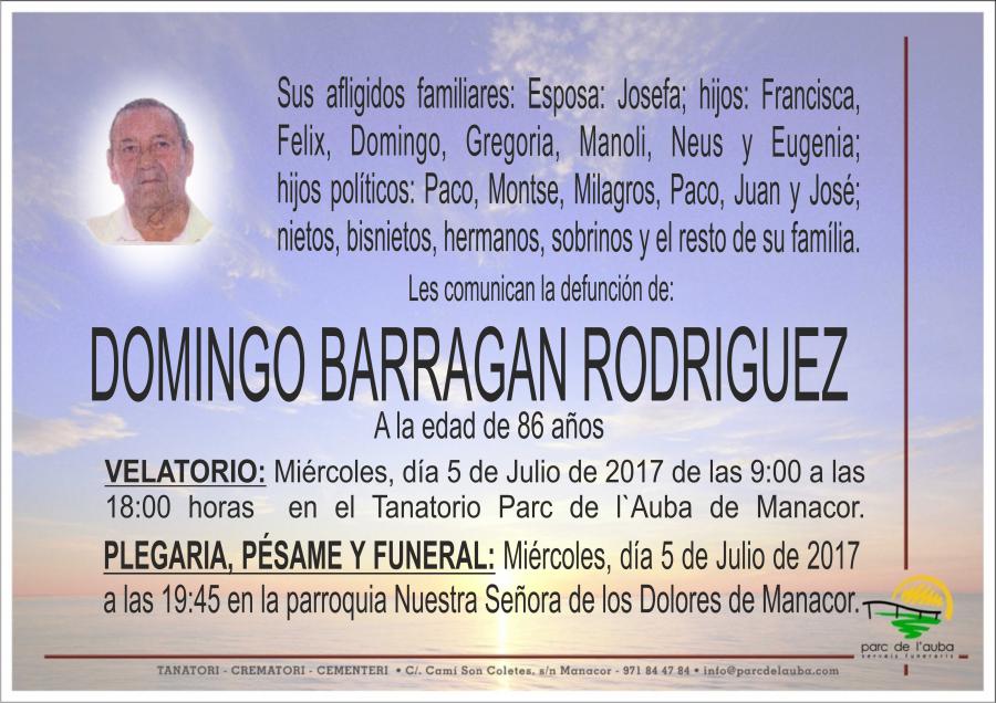 DOMINGO BARRAGAN RODRIGUEZ