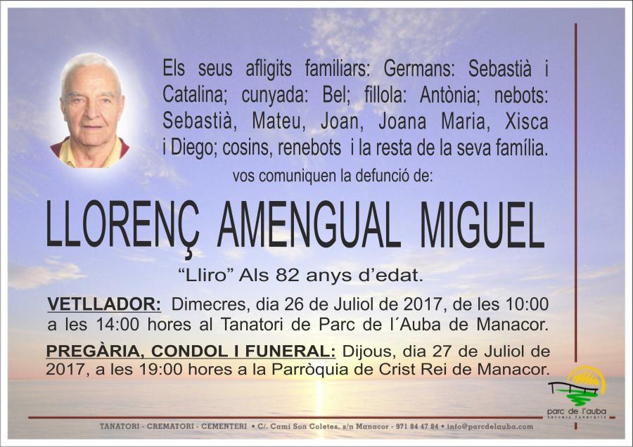 LLORENÇ AMENGUAL MIGUEL