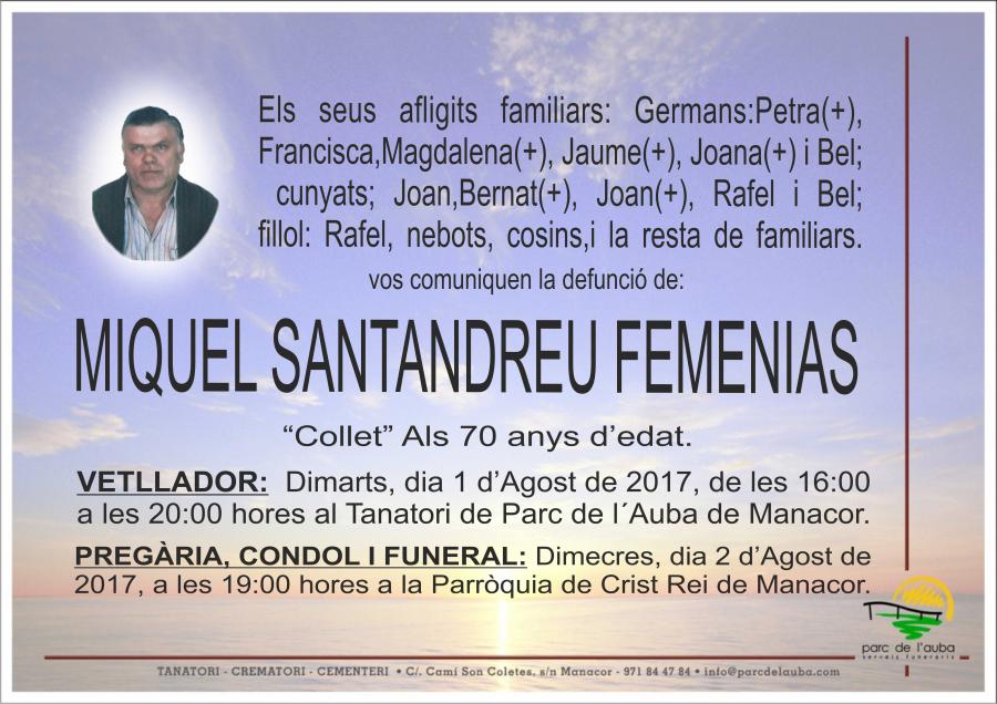 MIQUEL SANTANDREU FEMENIAS