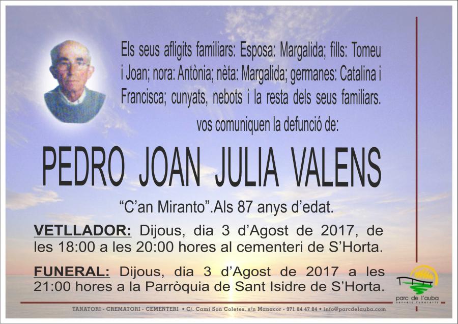 PEDRO JUAN  JULIÀ VALENS