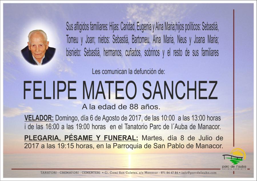 FELIPE MATEO SANCHEZ