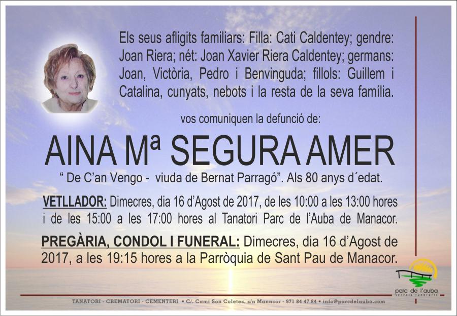 AINA Mª SEGURA AMER