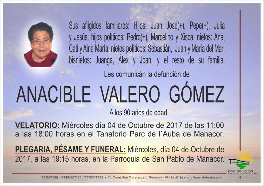 ANACIBLE VALERO GÓMEZ