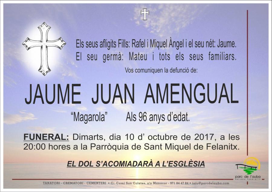 JAUME JUAN AMENGUAL