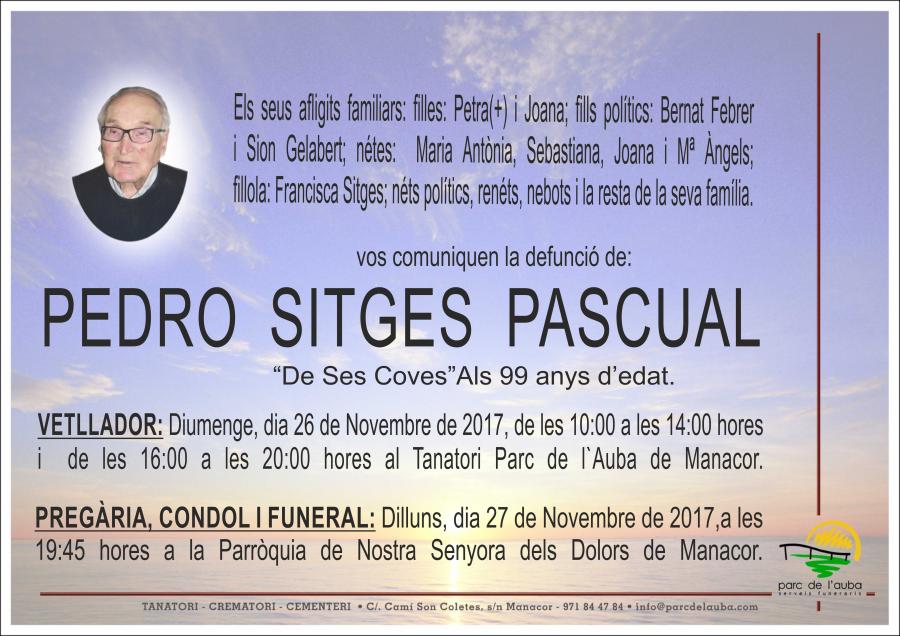 PEDRO  SITGES PASCUAL