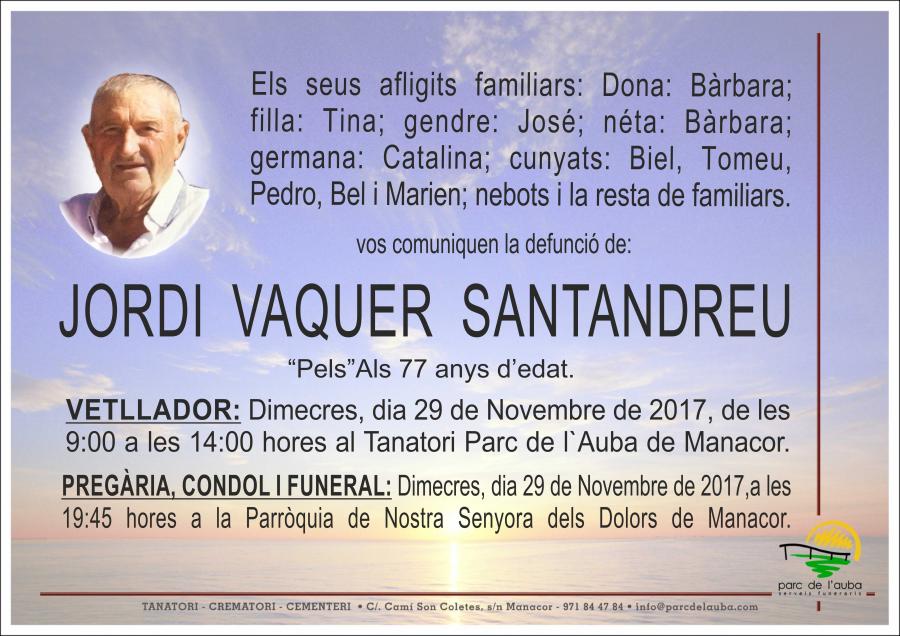 JORDI VAQUER SANTANDREU