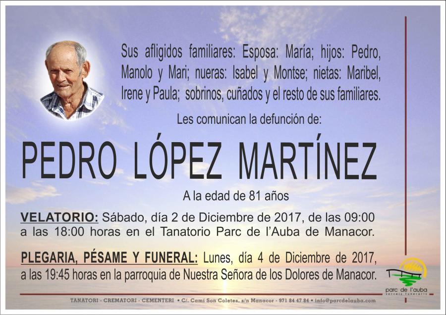 PEDRO LÓPEZ MARTÍNEZ