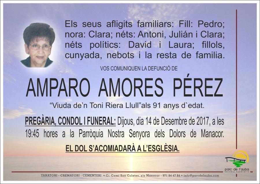 AMPARO AMORES PÉREZ
