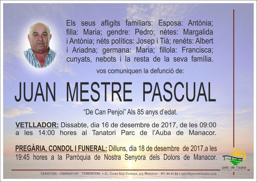 JUAN MESTRE PASCUAL
