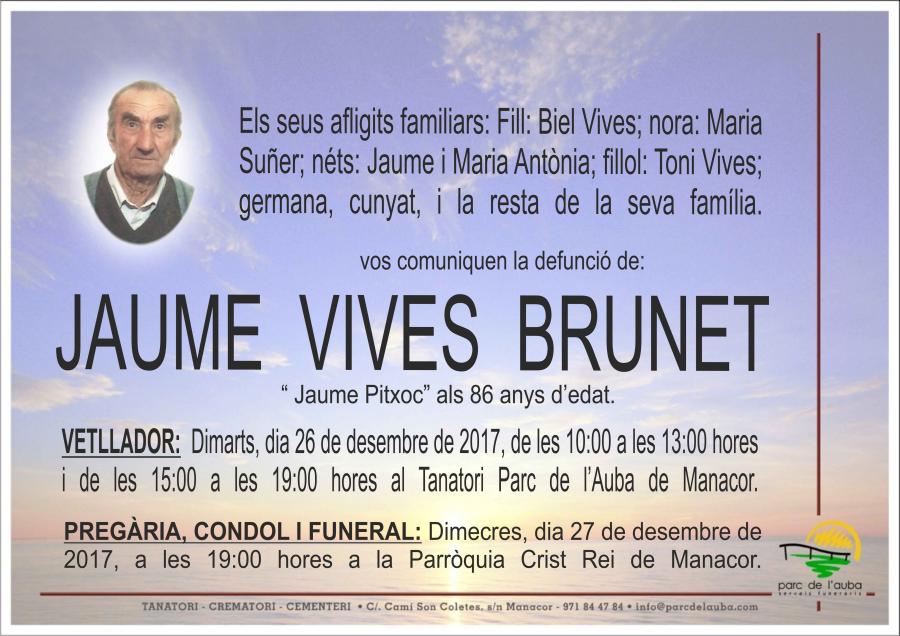 JAUME VIVES BRUNET