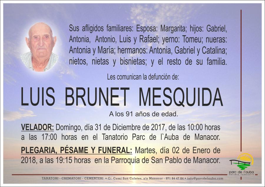LUIS BRUNET  MESQUIDA