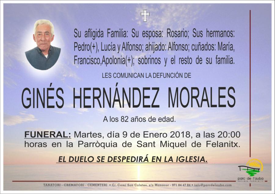 GINÉS HERNÁNDEZ  MORALES