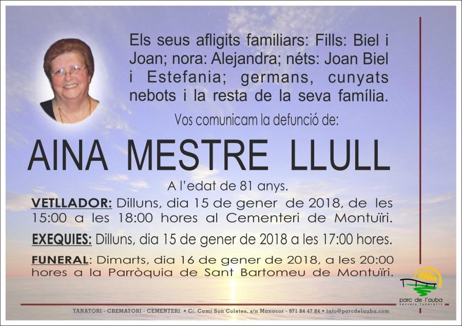 AINA MESTRE LLULL