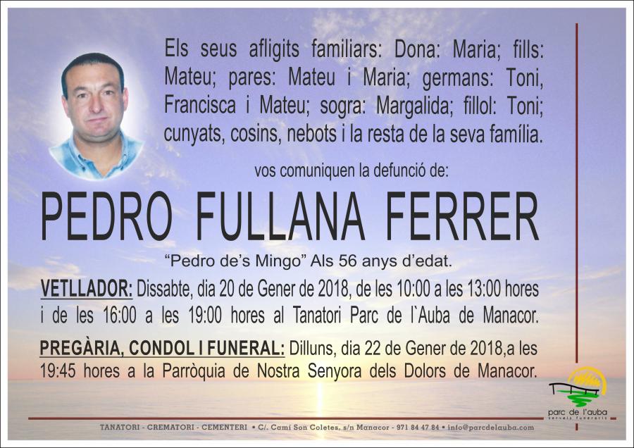 PEDRO FULLANA FERRER